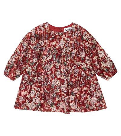 Molo Baby Colore Floral Cotton-blend Dress In Velvet Bloom