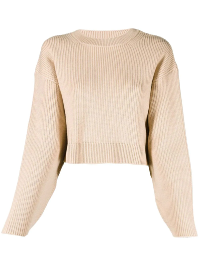 Patou Cropped Rib Knit Jumper In Nude