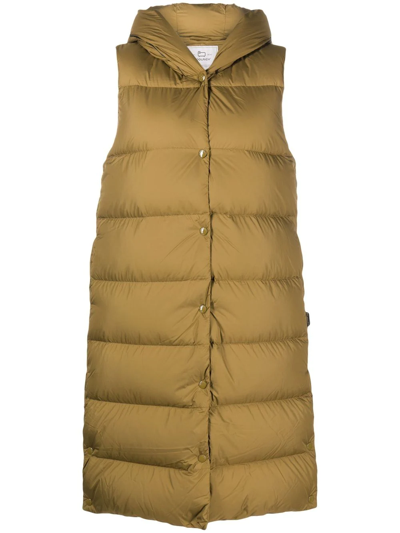Woolrich Quilted Padded Gilet In Earth_green