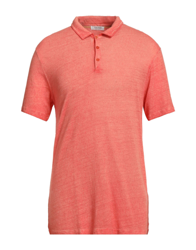 Sseinse Polo Shirts In Pink