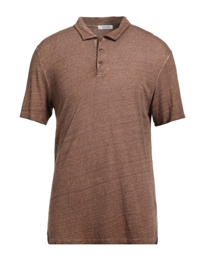 Sseinse Polo Shirts In Brown