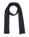 Alpha Studio Scarves In Blue