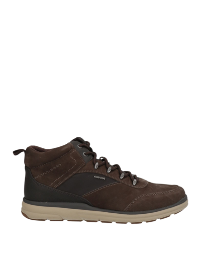 Geox Ankle Boots In Dark Brown
