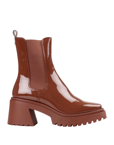 Steve Madden Ankle Boots In Brown
