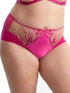 DITA VON TEESE PLUS SIZE JULIES ROSES HIGH WAIST BRIEF