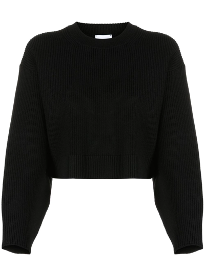 Patou Cropped Rib Knit Jumper In Black