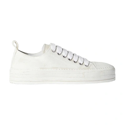 Ann Demeulemeester Low-top Plimsol Trainers In White