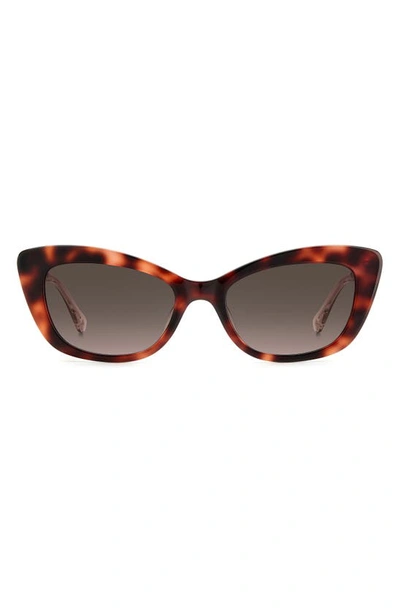 Kate Spade Merida 54mm Cat Eye Sunglasses In Havana / Brown Gradient