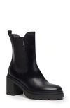 Nerogiardini Calfskin Chelsea Ankle Boots In Black