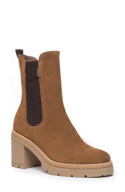 Nerogiardini Block Heel Chelsea Boot In Malt