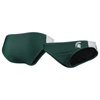 Foco Green Michigan State Spartans Wordmark Bikini Bottom In Green