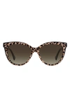 Kate Spade New York Daeshas 56mm Polarized Cat Eye Sunglasses In Fp3 Leopard