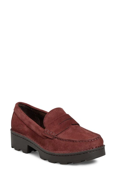 Brn Carrera Suede Loafer In Burgundy Suede