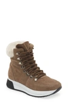 Cordani Layton Genuine Shearling Lined Boot In Taupe Suede