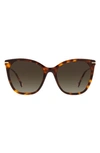 Carolina Herrera 56mm Cat Eye Sunglasses In Brown