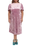 Donna Morgan Velvet Short Sleeve Midi Dress In Grape Nectar