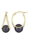 Delmar 10k Yellow Gold 8–8.5mm Cultured Freshwater Pearl Hoop Earrings In Black