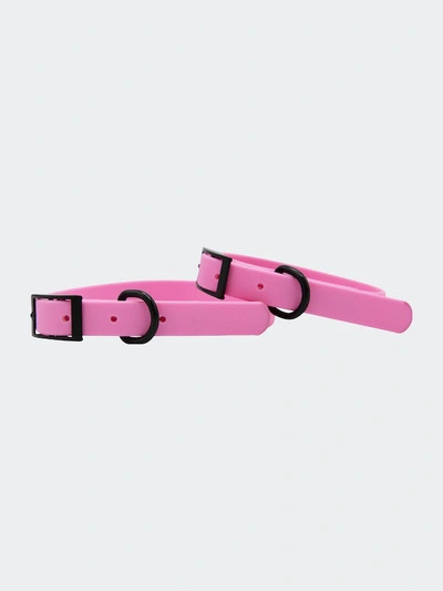 Sassy Woof Waterproof Collar In Pink