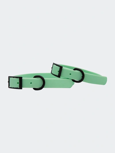 Sassy Woof Waterproof Collar In Green
