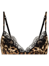 Dolce & Gabbana Leopard-print Silk-blend Triangle Bra In Neutrals