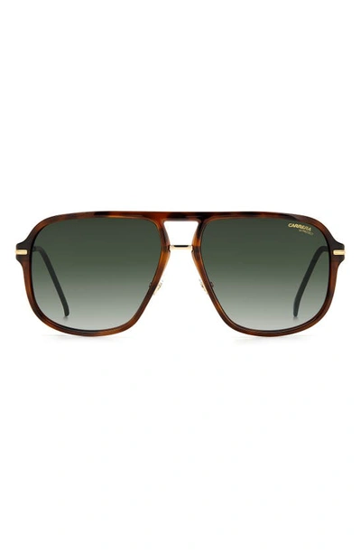 Carrera Eyewear 60mm Gradient Square Sunglasses In Havana / Green Shaded