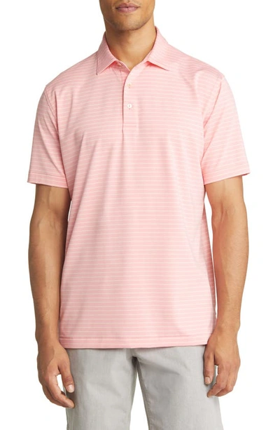 Peter Millar Drum Stripe Performance Polo In Coral Crush