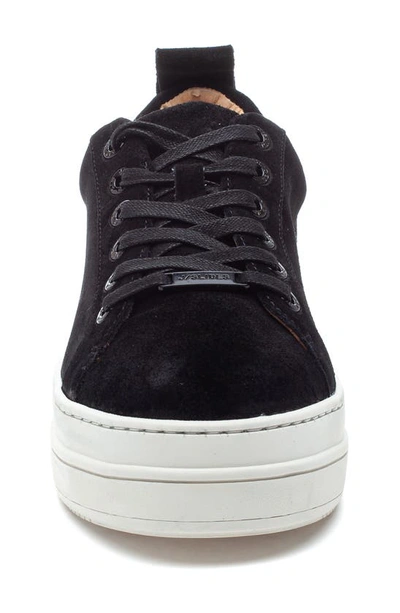 J/slides Nyc Jslides Noca Platform Lace-up Sneaker In Black Suede