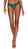Fleur Du Mal Lily Embroidery Hipster Thong In Evergreen