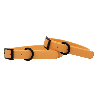 Sassy Woof Waterproof Collar In Orange