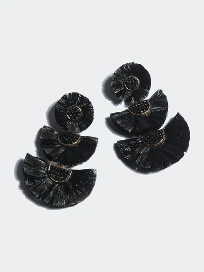 Shiraleah Gaetana Earrings In Black