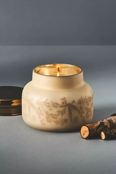 CAPRI BLUE CAPRI BLUE WINTER HEARTHSIDE JAR CANDLE 