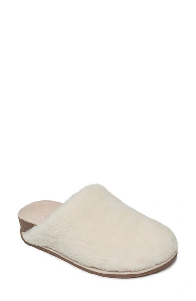 Splendid Women's Cecil Shearling Slip On Mules In Ivory