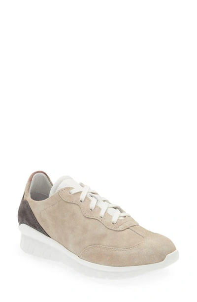 Naot Infinity Colorblock Sneaker In Sand Stone Suede