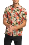 Good Man Brand Big On-point Short Sleeve Stretch Organic Cotton Button-up Shirt In Red Floral Hazy Days