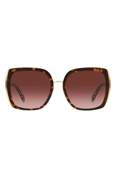 Kate Spade Kimber 56mm Gradient Square Sunglasses In Havana/brown Gradient