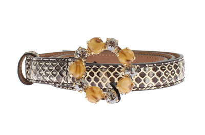 Dolce & Gabbana Gray Snakeskin Crystal Buckle Belt