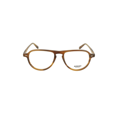 Moscot Women's Brown Acetate Glasses