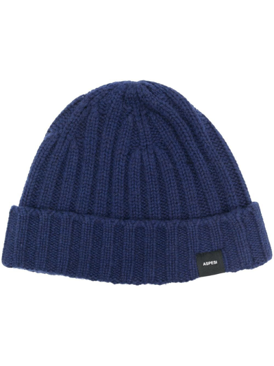 Aspesi Ribbed-knit Cashmere Beanie In Navy