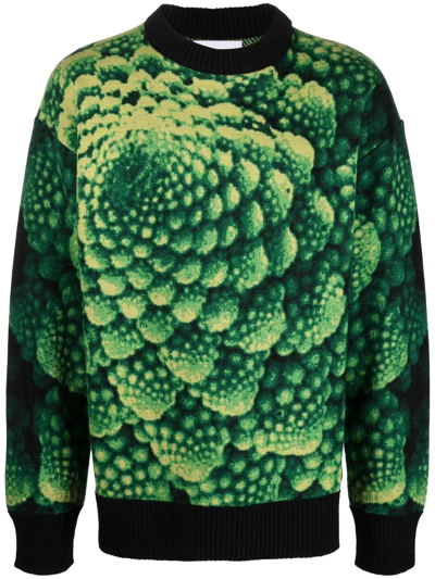 Bonsai Knit Crewneck Regular Fit Green Wool Sweater With Broccoli Jacquard Motif.