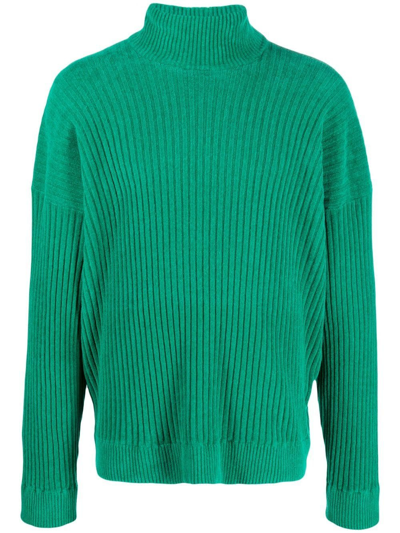 Bonsai Green Chenille Turtleneck