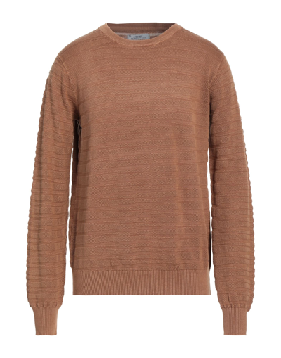 Yes Zee By Essenza Sweaters In Brown