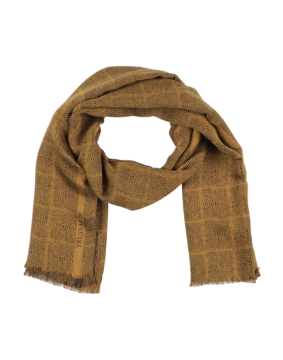 Trussardi Scarves In Ocher