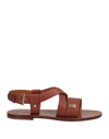 Dee Ocleppo Sandals In Brown