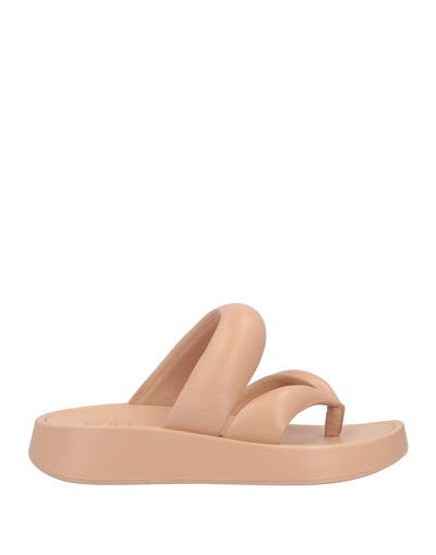 Ash Toe Strap Sandals In Pink