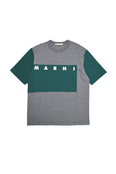 Marni Kids' T-shirt Grigia Con Inserti Colorblock In Grey