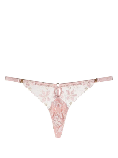 Bordelle Vita Floral-embroidered Thong In Pink