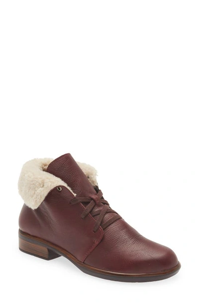 Naot Pali Faux Shearling Lined Bootie In Soft Bordeaux Leather