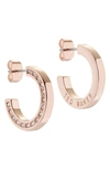 Ted Baker Senatta Crystal Hoop Earrings In Rose Gold Tone Clear Crystal