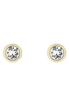 Ted Baker Sinaa Stud Earrings In Gold