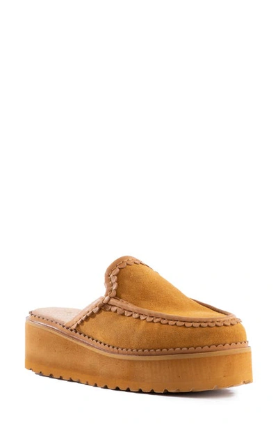 Seychelles Stand Tall Platform Sandal In Cognac